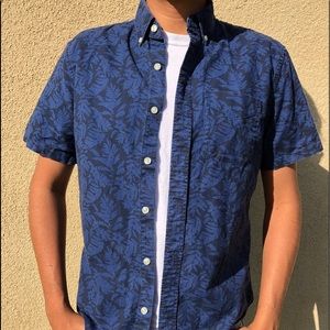 Holister Casual Blue Pattern Button Down
